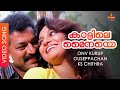 Kaattile Mainaye - Video Song | Ouseppachan | Murali | Madhavi | Akashadoothu
