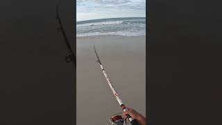 Peixe estava com fome ! #dica #pescaria #pescasub #fishing #pesca #pescaesportiva #barcopesqueiro