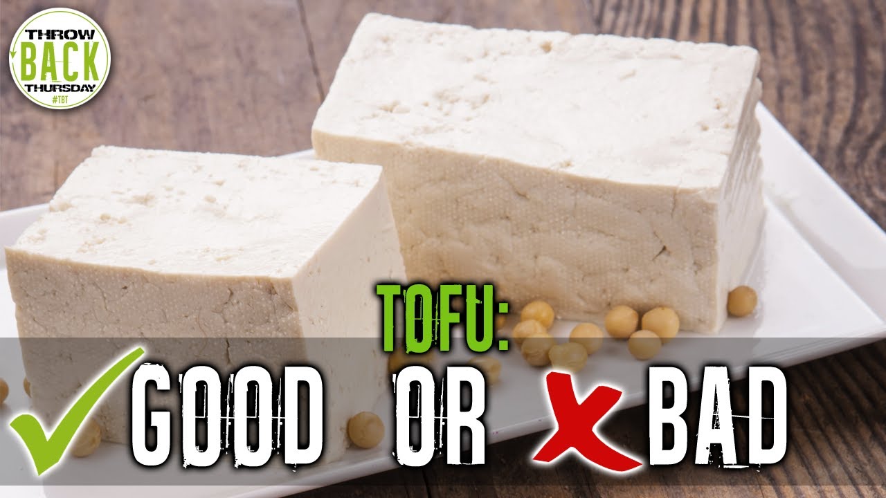 Is Tofu Good For You Or Is Tofu Bad For You QUICK THOUGHTS TBT 