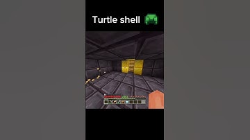Turtle shell insane power 😨😷 #viralvideo #minecraft #gaming #trending #memes #shortvideo #shorts