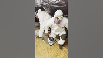 A Friendly Team is the Key to Quality Work - Attic Insulation! #atticinsulation #insulation