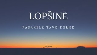 Video thumbnail of "DŽIMBA - Lopšinė (pasakėlė tavo delne)"