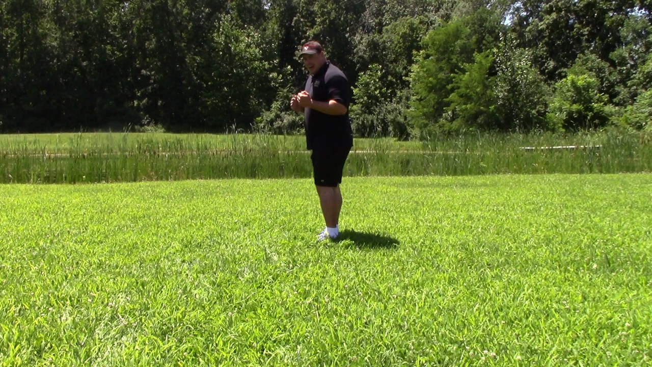 Ankling - The Training Plan Source - YouTube