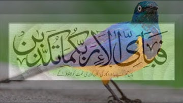 الرقيه الشرعيه للشيخ احمد السقاف ابو عبد العزيز(28-11-2017)