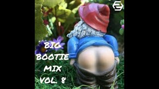 Two Friends - Big Bootie Mix #8 w\/Music Videos \& extras