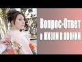 Вопрос-Ответ: Рукоприкладство в японской семье?