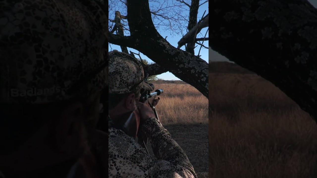 Zebra Impact Shot #hunting #wildlife