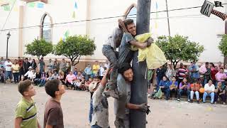 Recordando este Palo Encebado en Ayotlan 2da  Parte