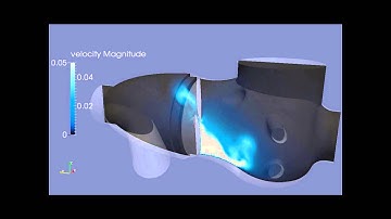 Finite Element Simulations of Regurgitation Flow (5cycle)