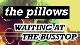 Watch Pillows Waiting At The Bus Stop video