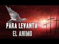 MÚSICA CATOLICA PARA LEVANTAR EL ÁNIMO 2020 GRANDES ÉXITOS ALABANZA Y ADORACIÓN ADORACIÓN A DIOS