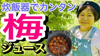 超カンタン炊飯ジャーで梅ジュース