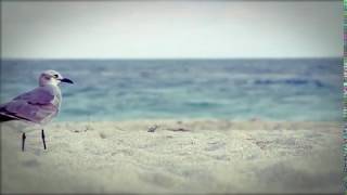 Tab On Beach Green Screen Effect Video