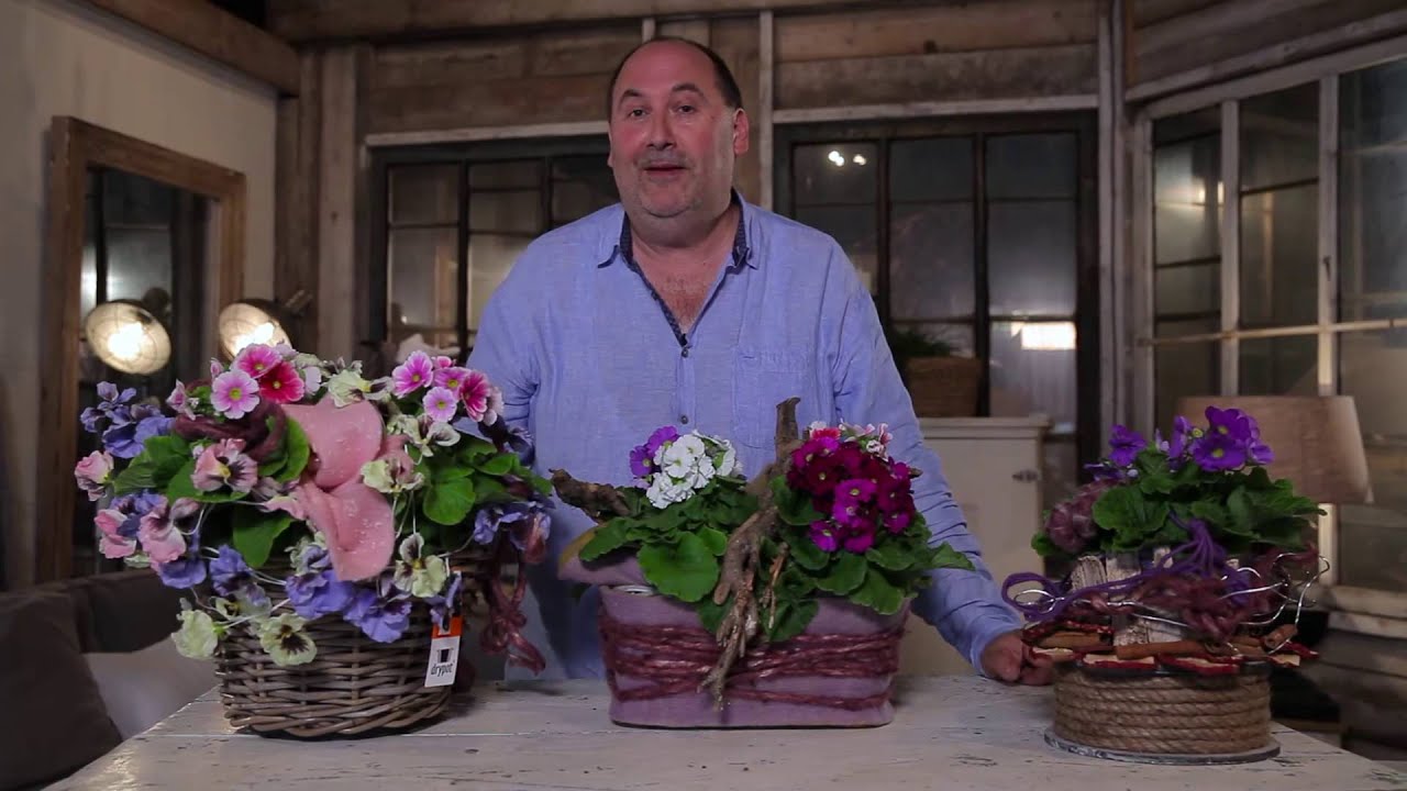 Inspiration mit Primula Touch Me