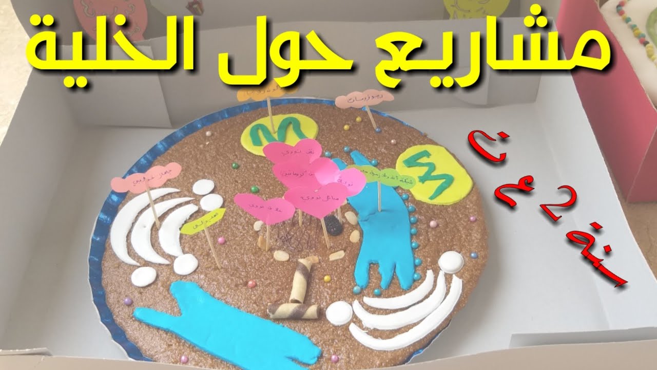 أفكار مختلفة لمشاريع الخلية الحيوانية والنباتية والبكتيرية😊 للسنة الثانية ثانوي❤