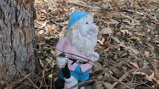 Gnome Or Gnome