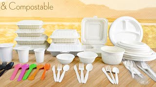 Biodegradable Compostable Plastic Cornware Corn Starch Cornstarch Tableware Food Containers Plates