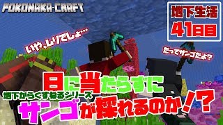 【ぽこなかくら＃291】地下生活41日目！挑戦！！サンゴを日に当たらずに取れるか！？【マインクラフト】