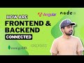 How are the Frontend and Backend connected ? | Beginner's questions | Coding Atti