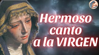 Hermoso Canto a la Virgen || Música Católica para Sanar el Cuerpo, Alma y Espíritu 2024 by La Voz de María 3,400 views 3 weeks ago 1 hour, 45 minutes