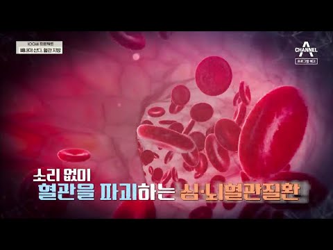 빼내야 <strong>산다</strong>, 혈관지방 | 100세 프로젝트 21 <strong>회</strong>