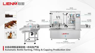 6‑Head Linear Filling + Aluminum Cap Crimping｜Oral Liquid & Essential Oil Bottling