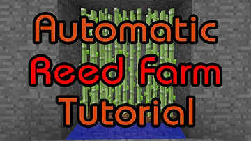 [TUTORIAL] Fully Automatic Reed Farm