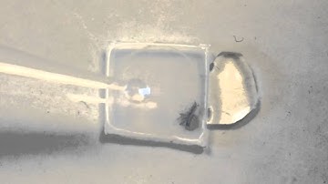 Biomimetic TiO2 based coating