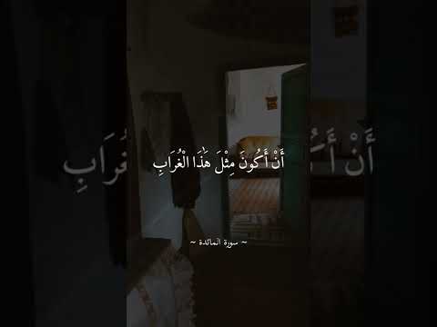 فأواري سوءة أخي الشيخ سيد سعيد