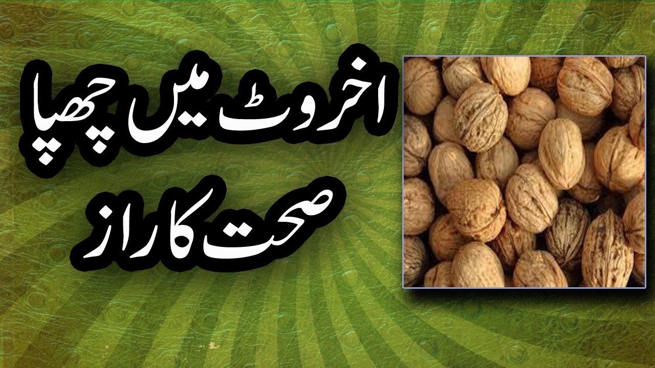 AKHROT (WALNUT) dill ki bemari ka anokha or asaan nuskha-health tips in urdu