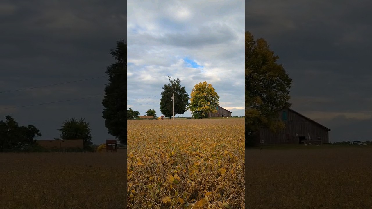 Fall time in Miami Valley, Ohio!🍁