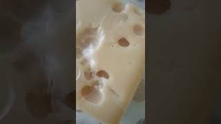 gruyere Cheese from Kars. Kars gravyeri.