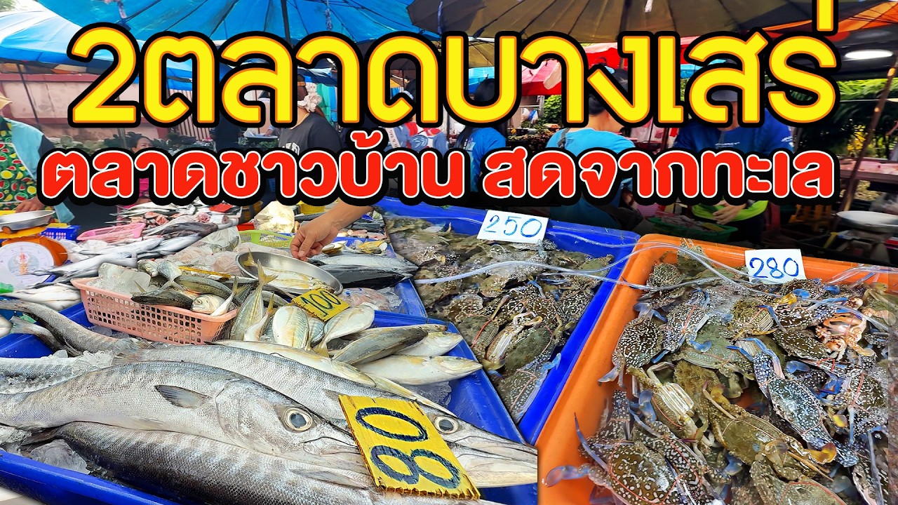2 ตลาดอาหารทะเลสดๆจากทะเลบางเสร่ ชลบุรี   ตลาดเช้า-ตลาดเย็น  @Fin A Dii Channel