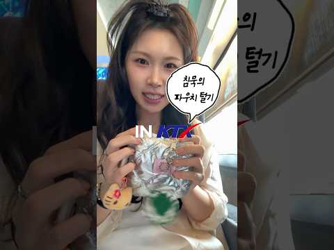침묵의 파우치털기 in <strong>KTX</strong>