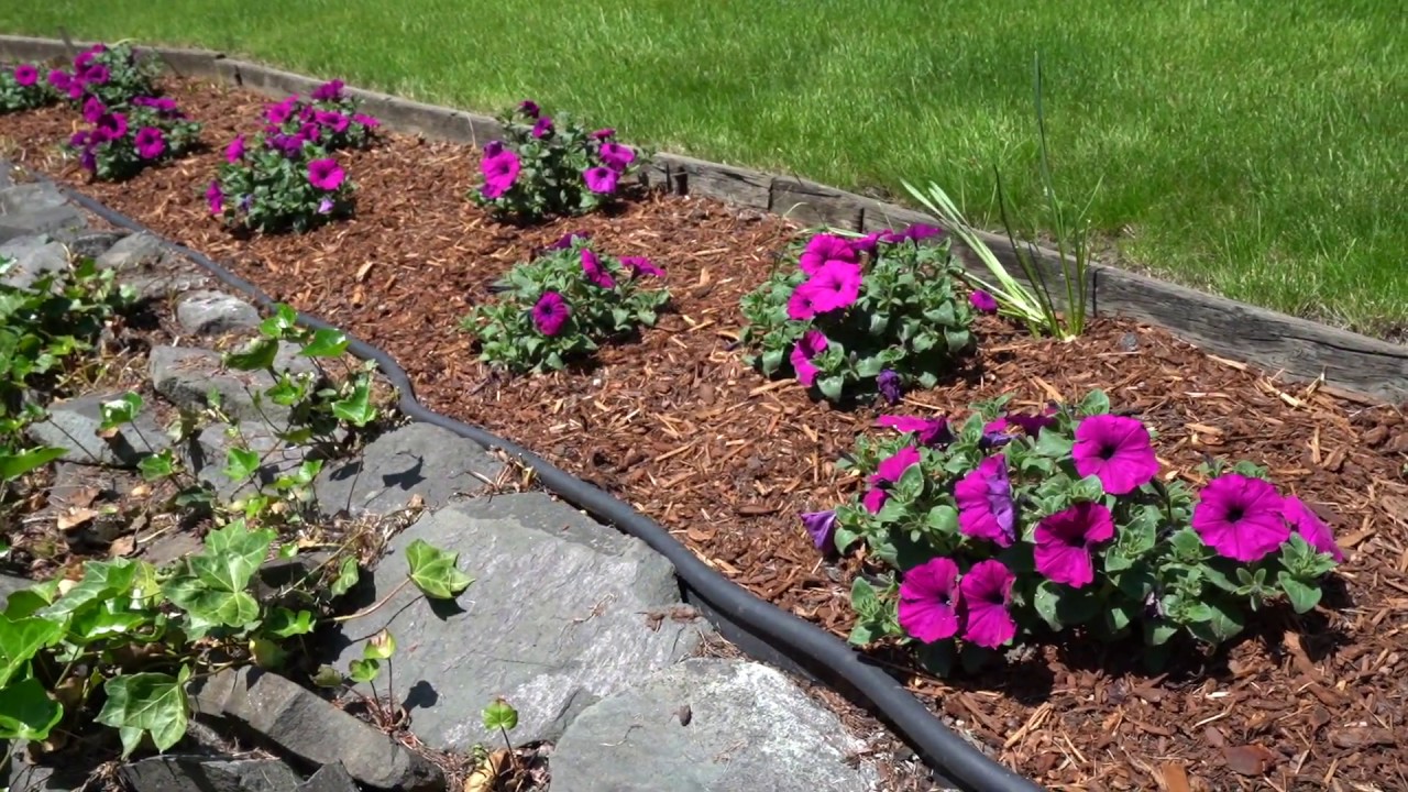 Rare Opportunity: 4-Bedroom, 2.25-Bath Home w/Outdoor Beauty in Puyallup