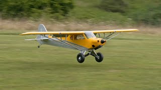 Hangar 9 Carbon Cub 1/5 Scale | Flying in 4K