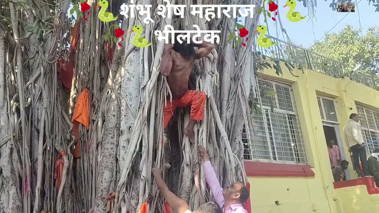 शंभू शेष महाराज 🐍 भीलटेक ईथे झालेला कार्यक्रम 8668411361