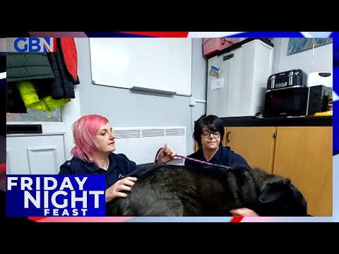 Meet this week’s dog of the week - bon bon! | friday night feast