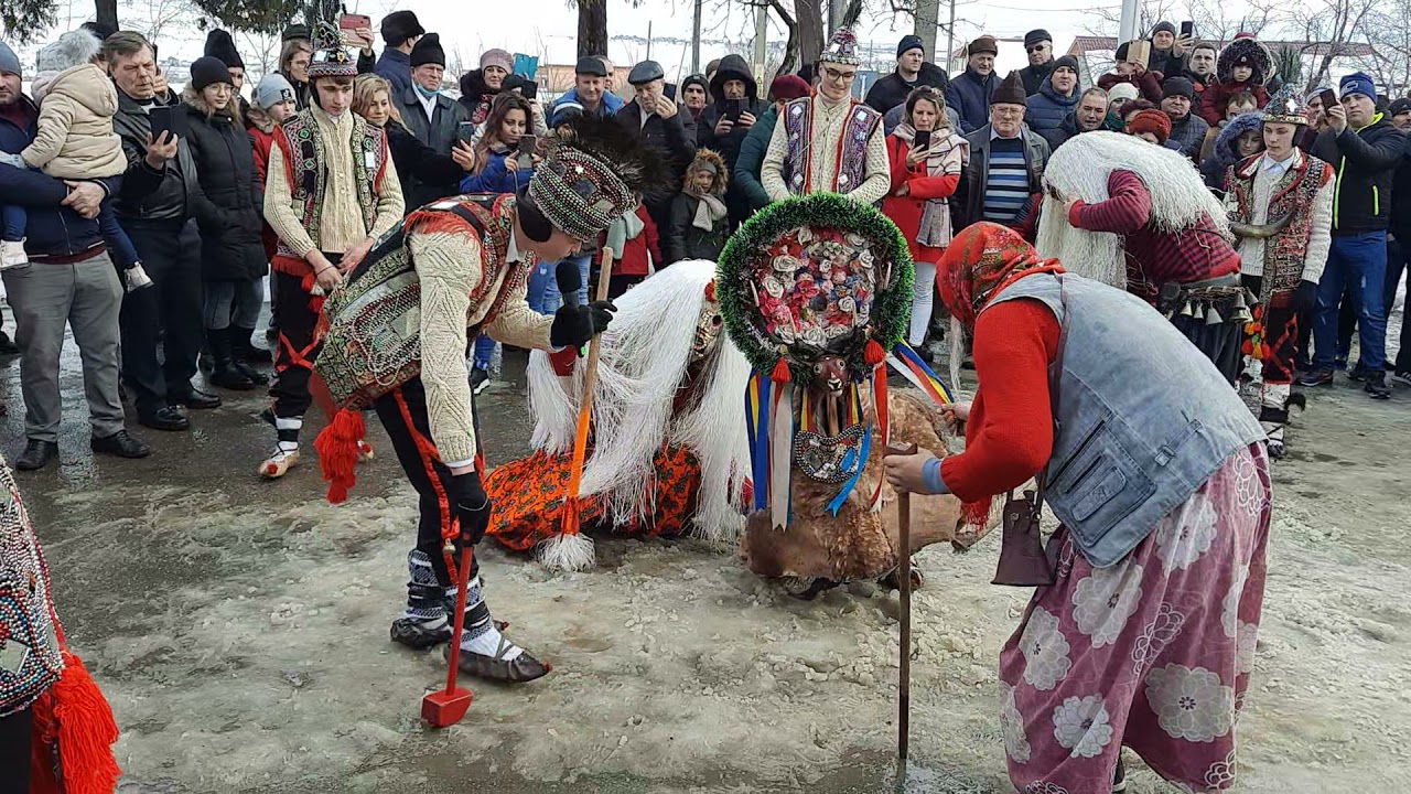 Cerbul de la Scobinți la Festivitatea de Ajun de Anul-Nou 31 Decembrie 2021 comuna Scobinți...❤🔝