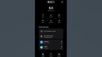 How to connect Hamster Kombat and TON Wallet