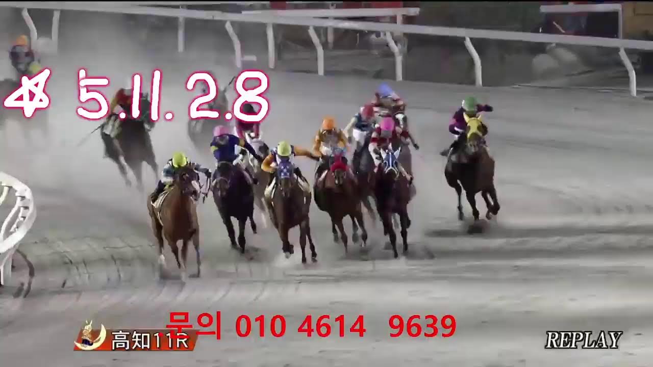 아몬드 아이님의 라이브 방송