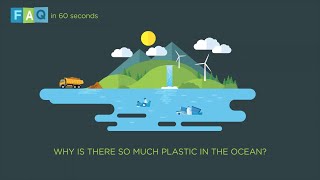 How does so much plastic end up in the ocean?