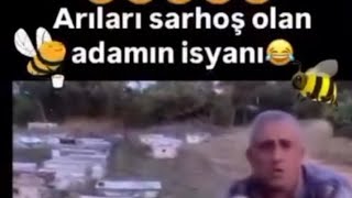 Arıları sarhoş adamın isyanı