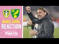 Daniel farke reaction  leeds united 40 norwich city  the pink un