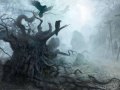 The Witcher Music Murky Waters Village River Of Life 