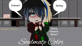 Soulmate Color||HP||Drarry||read desc pls||•Hayamiru Shooko!• Resimi