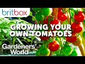 Growing Your Own Tomatoes With Monty Don | Gardeners' World