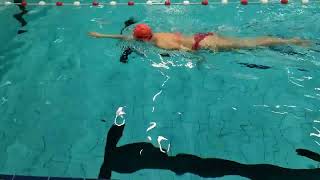 Download Lagu Intermediate blok 3 training 5 (Borstcrawl cursus) MP3 Download Lagu Intermediate blok 3 training 5 (Borstcrawl cursus) MP3
