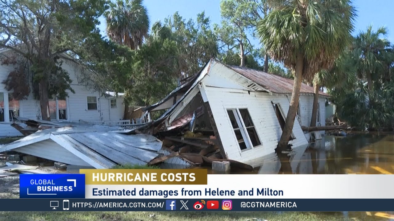 Global Business: Florida Hurricanes & Global Climate Change