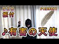 【振付動画】PIERROT「有害の天使」振り